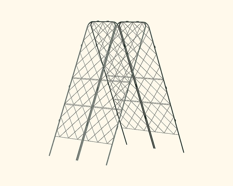 Strength at its Peak