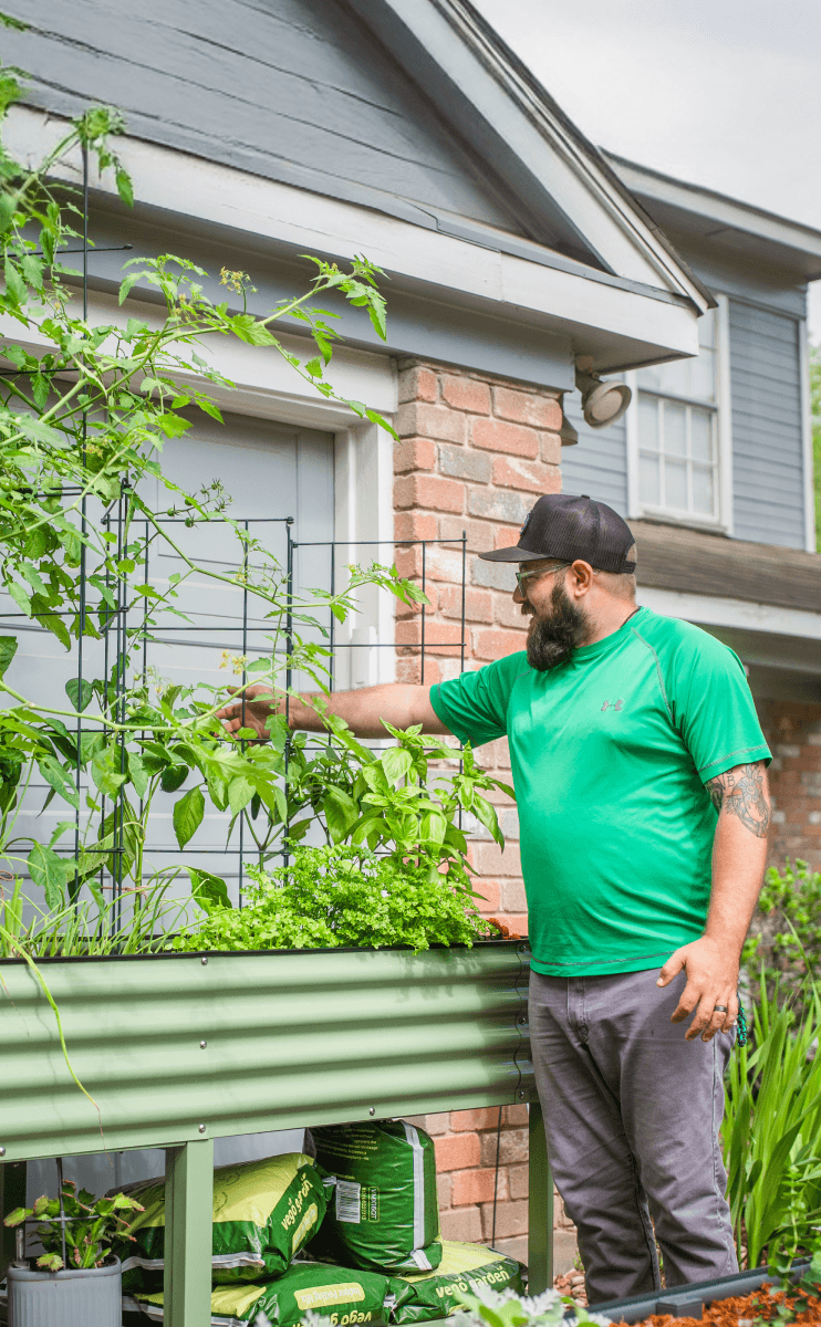 Vego garden beds