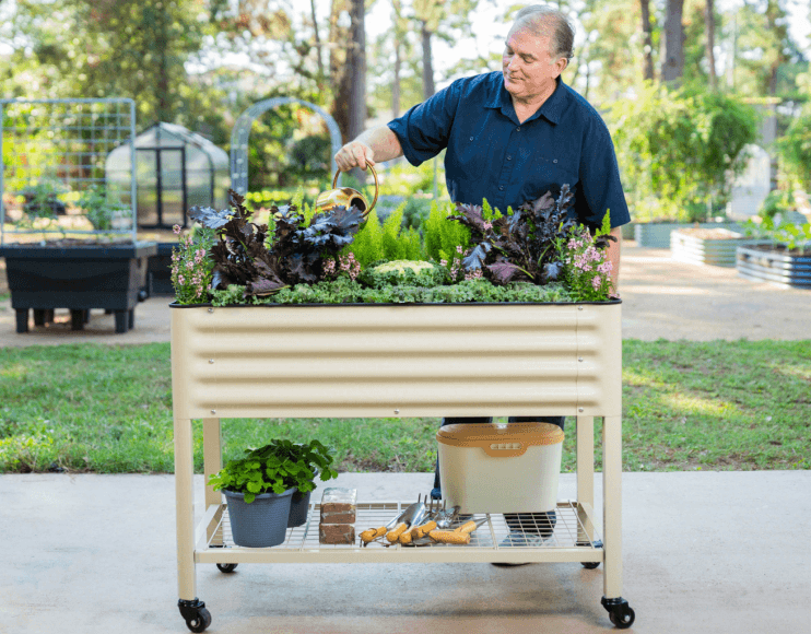 Vego garden beds