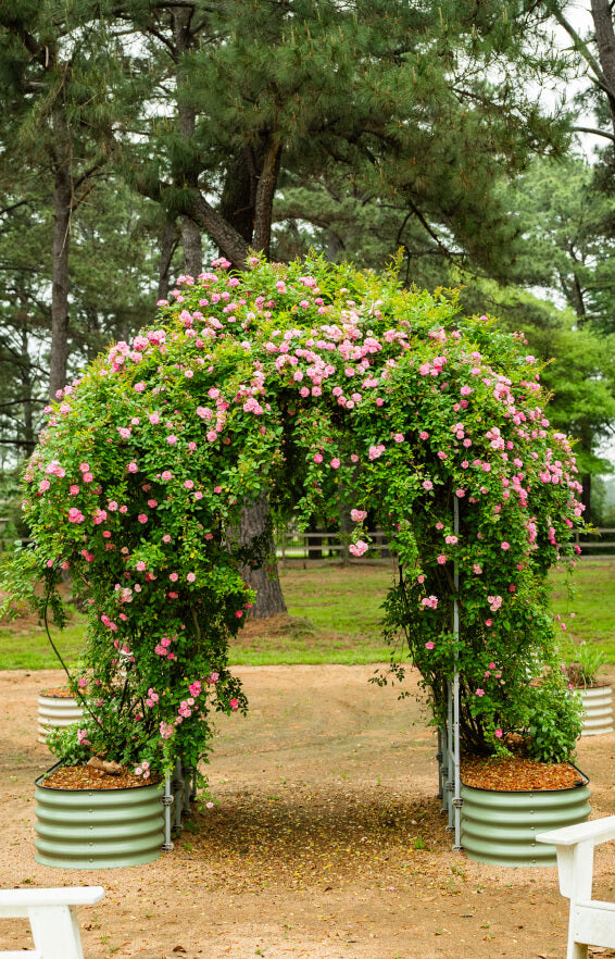 Vego garden beds