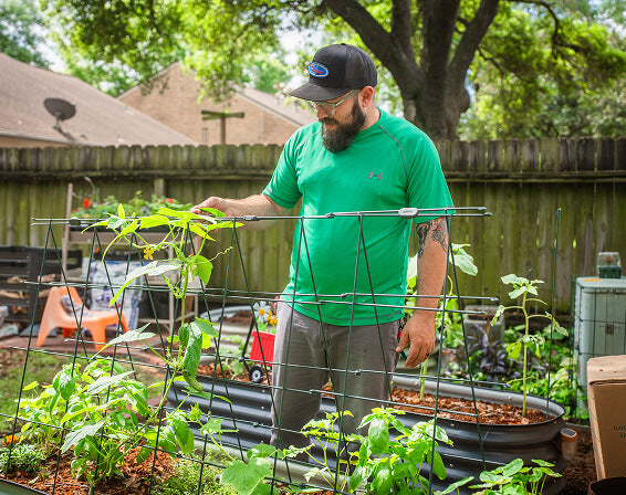 Vego garden beds
