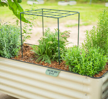 Vego garden beds