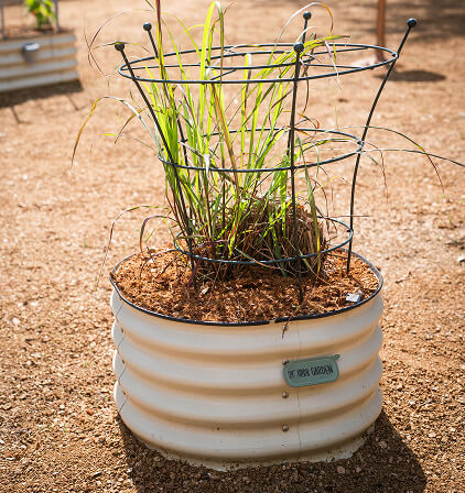 Vego garden beds