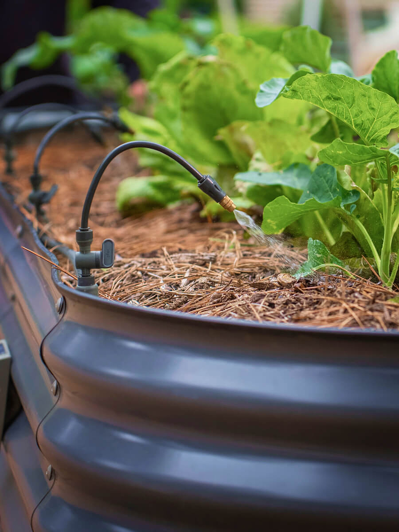 Vego garden beds