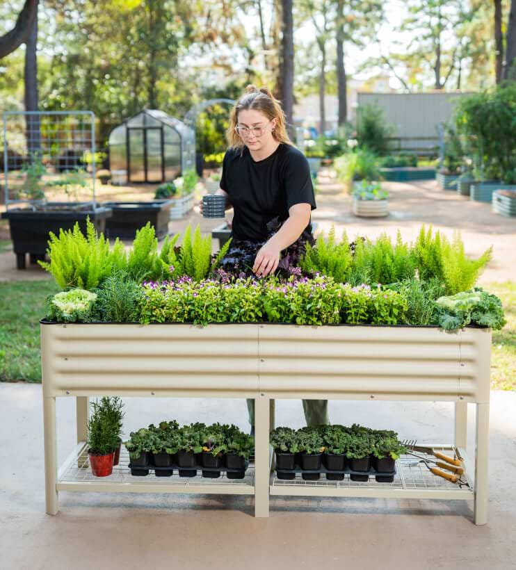 Vego garden beds