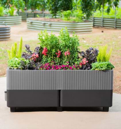 Vego garden beds