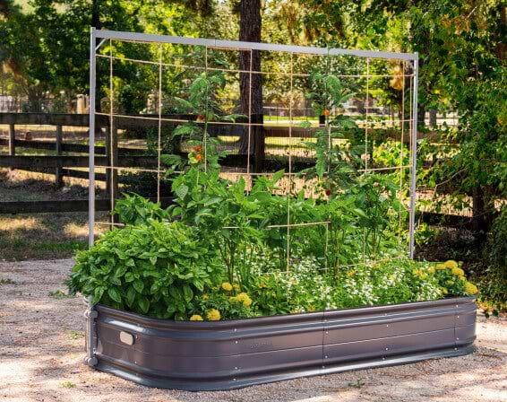 Vego garden beds