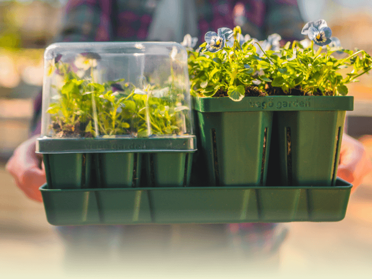 Vego garden beds