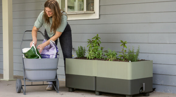 Vego garden beds