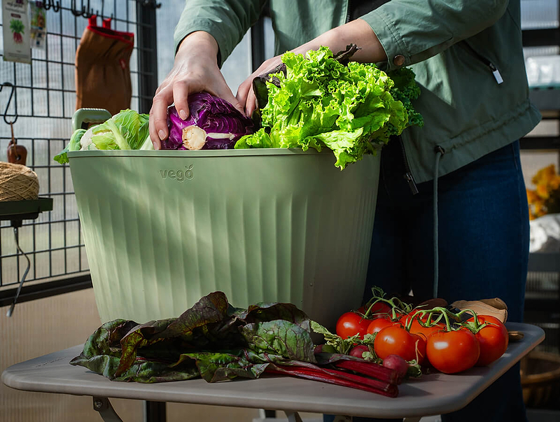 Greenhouse and Garden Projects