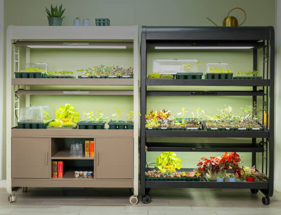 Vego garden beds