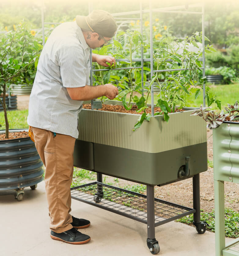 Vego garden beds