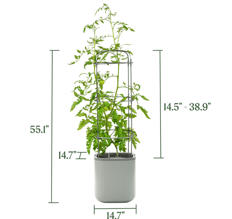 Vego garden beds