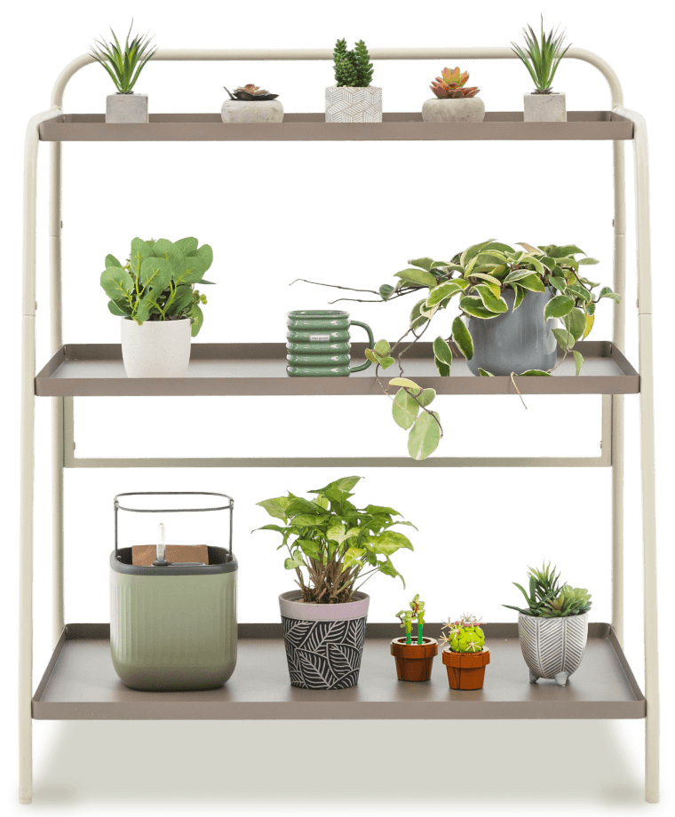 Vego garden beds