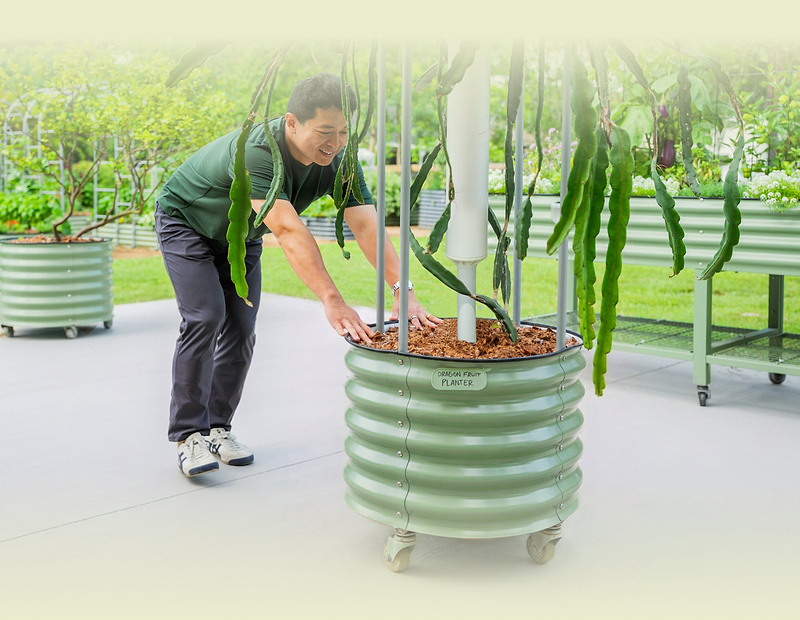 Vego garden beds