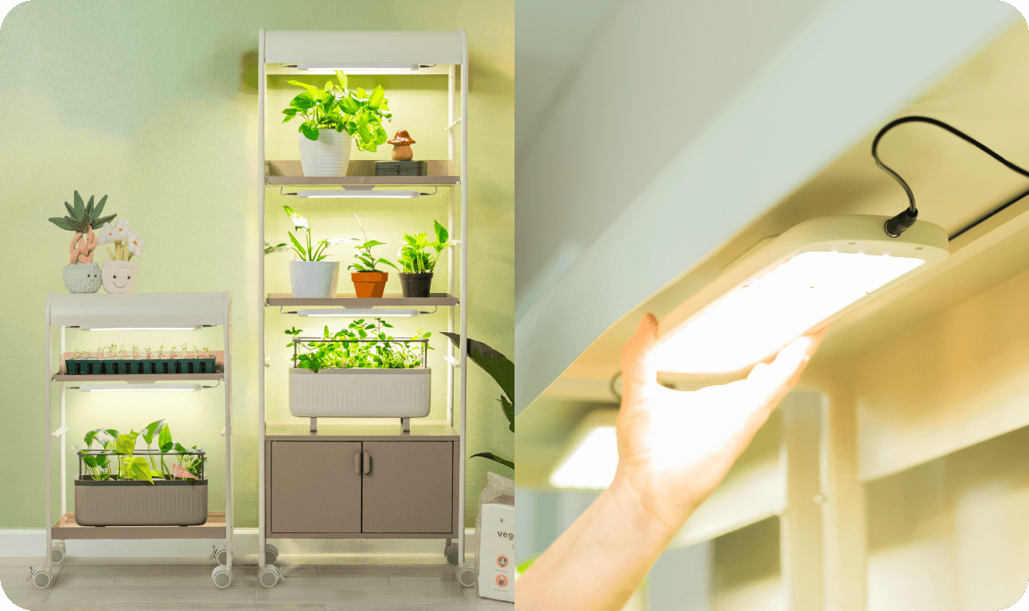 indoor grow lights for succulents made in china Vego Grow Light – Full-Spectrum LED for Thriving Indoor Gardens