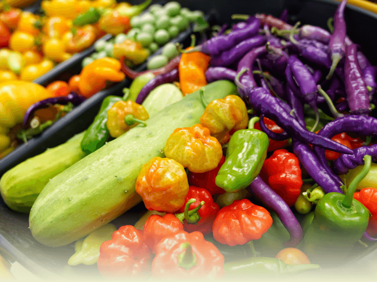 Vego garden beds