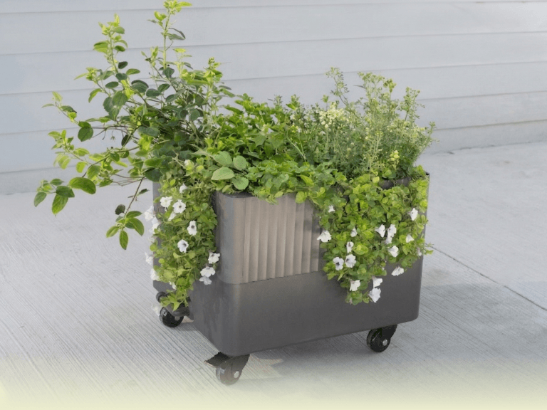 Vego garden beds