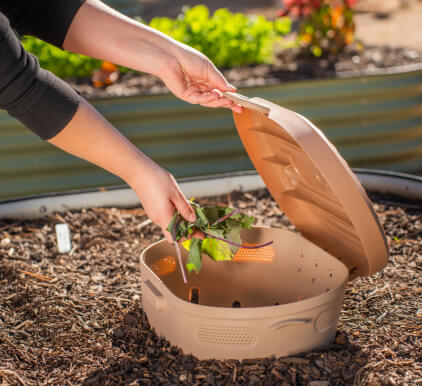 Vego garden beds