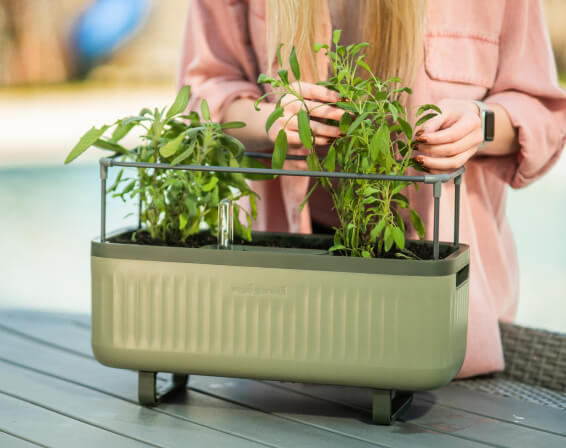 Vego garden beds