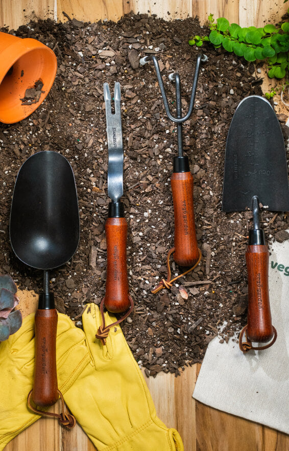Vego garden beds