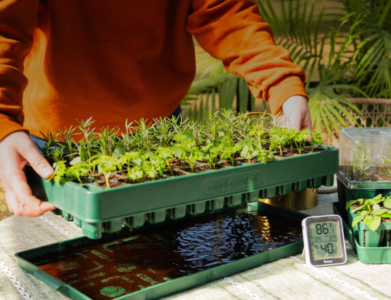 Vego garden beds