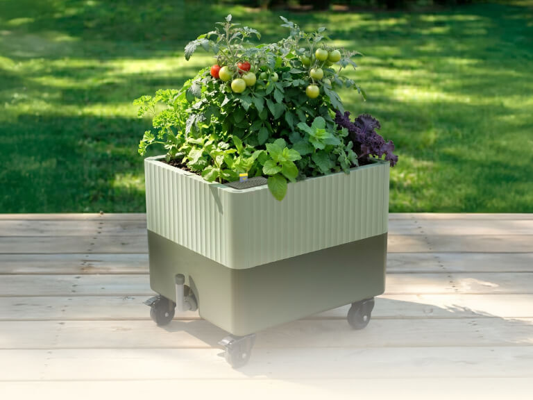 Vego garden beds