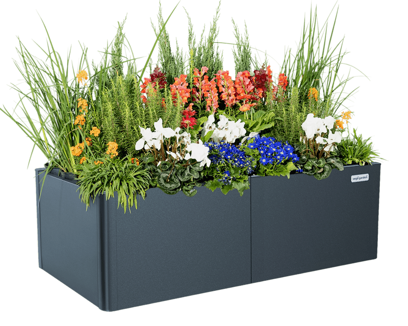 Sleek, Modern Gardening