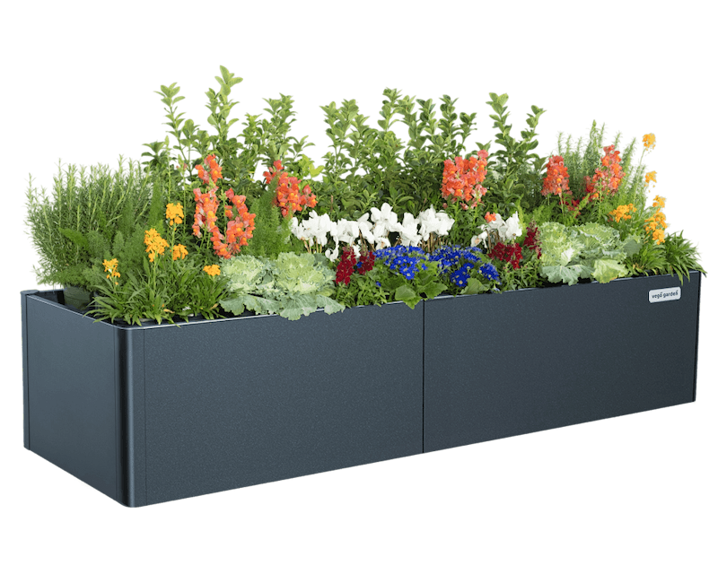 Sleek, Modern Gardening