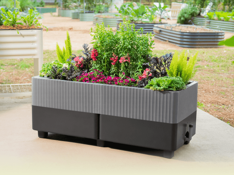 Vego garden beds