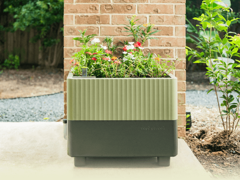 Vego garden beds