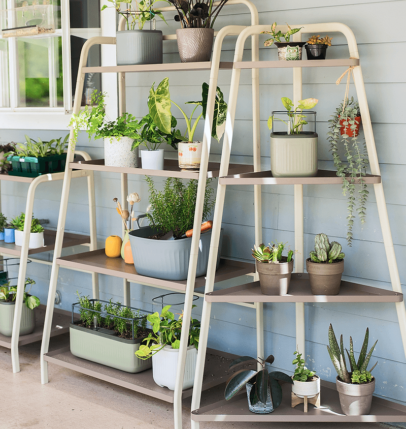 Vego garden beds