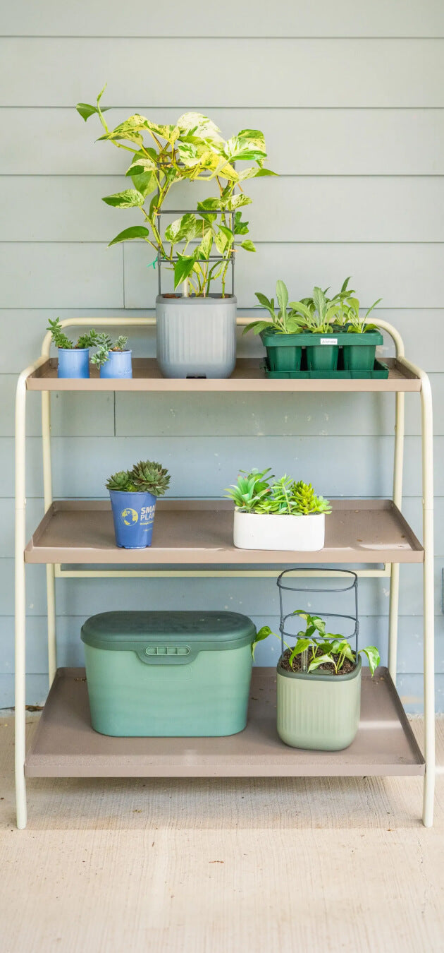 Vego garden beds