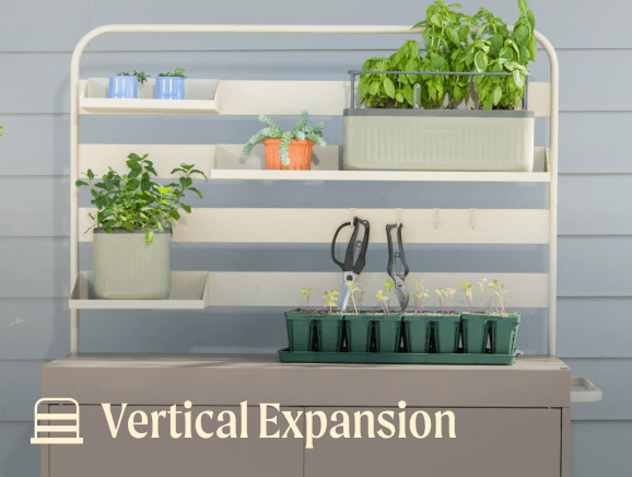 Vertical Expansion