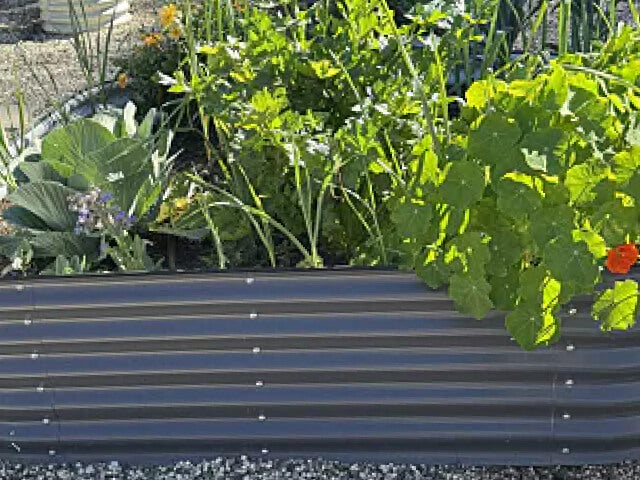 Vego garden beds
