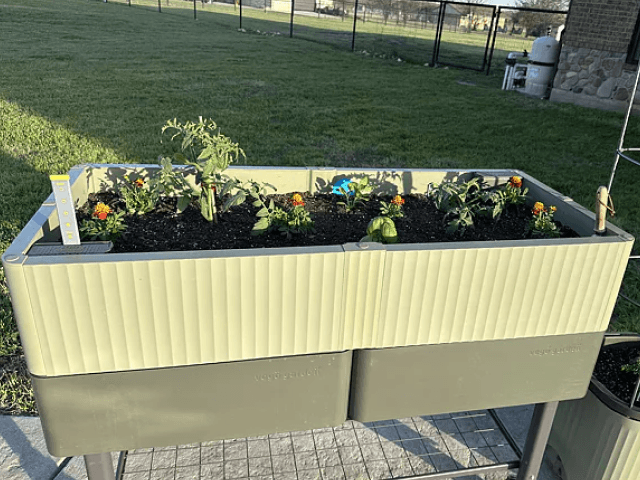 Vego garden beds