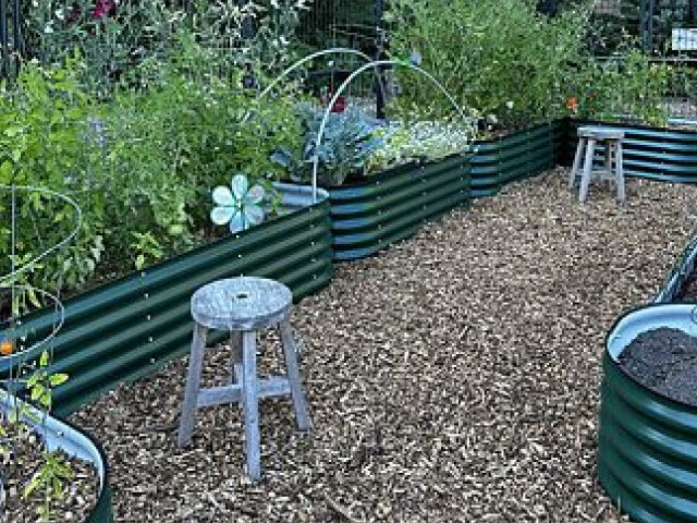 Vego garden beds