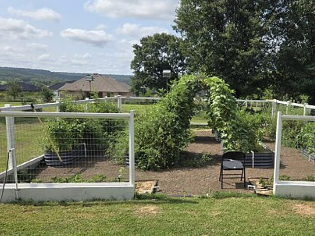 Vego garden beds