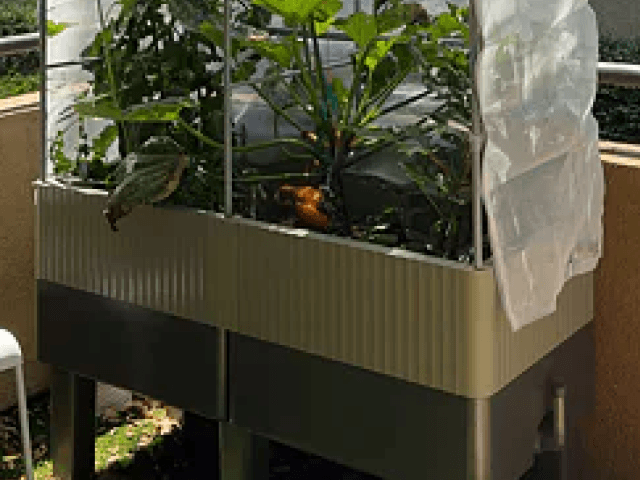 Vego garden beds