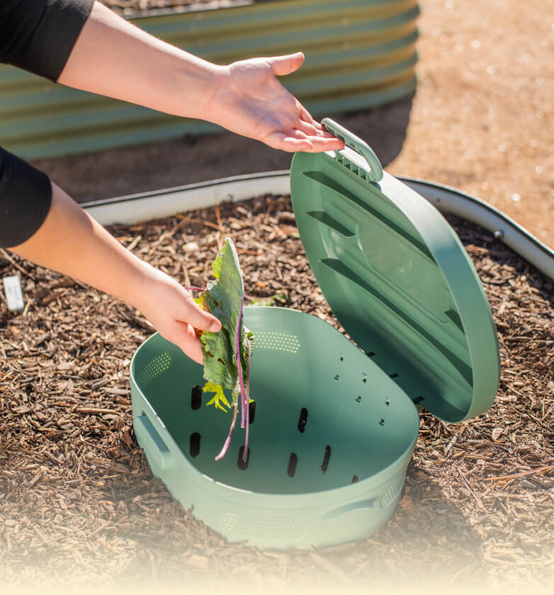 Vego garden beds