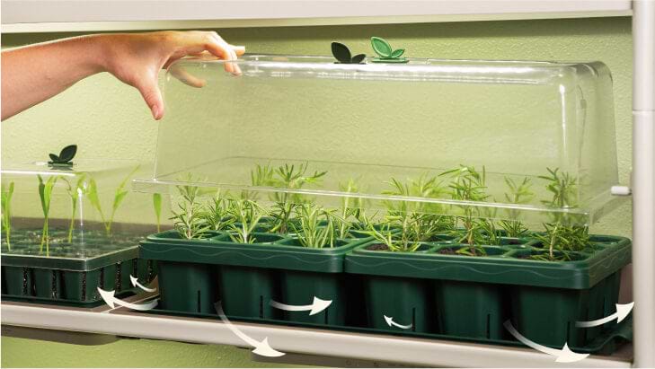 built to spill planting seeds Giga Seedling Tray