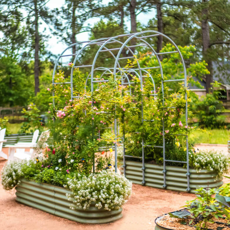 Vego garden beds
