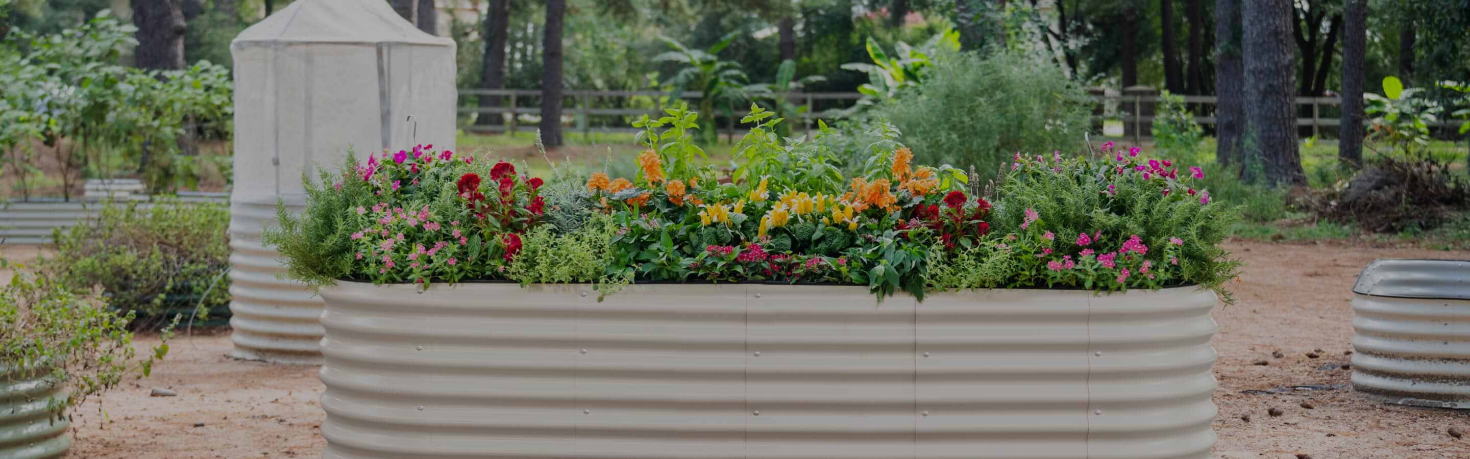 Contact Us | Get Help from Vego Garden