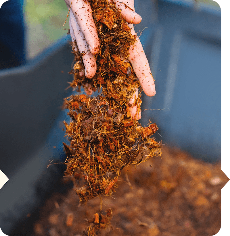 Fill with Soil & Compost