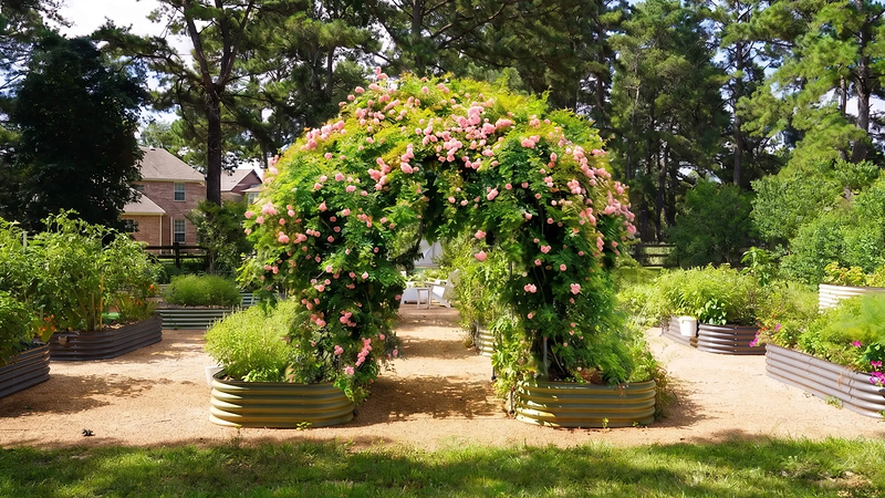 Vego garden beds