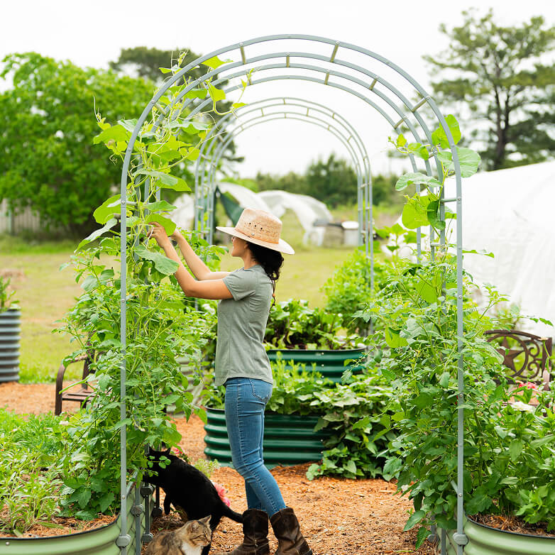 Vego garden beds