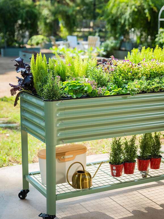Vego garden beds