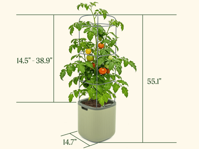 vego self watering tomato planter EZ Self-Watering Tomato Planter with Trellis, Sage Green