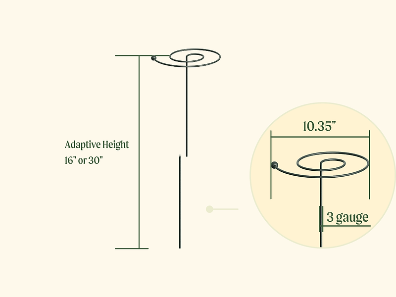 Materials & Specifications