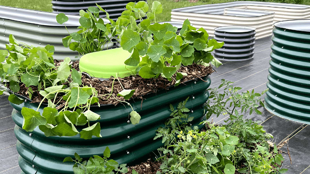 Vego Garden More Than Just Products
